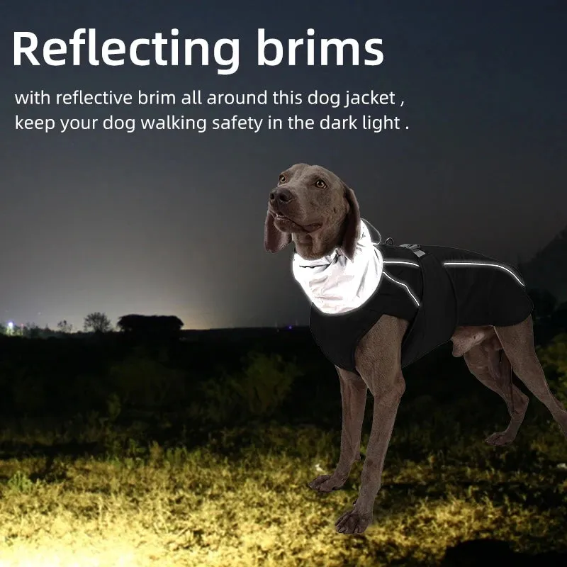 LuxWarm™ Waterproof Dog Jacket - Soft Padded Reflective Winter Coat